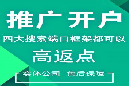 专业SEM托管服务，案例展示精准营销成果